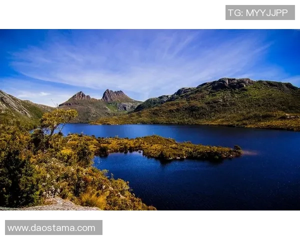 墨尔本骑士与墨尔本港鲨鱼的激烈对决揭开新赛季序幕 墨尔本骑士与墨尔本港鲨鱼的激烈对决揭开新赛季序幕